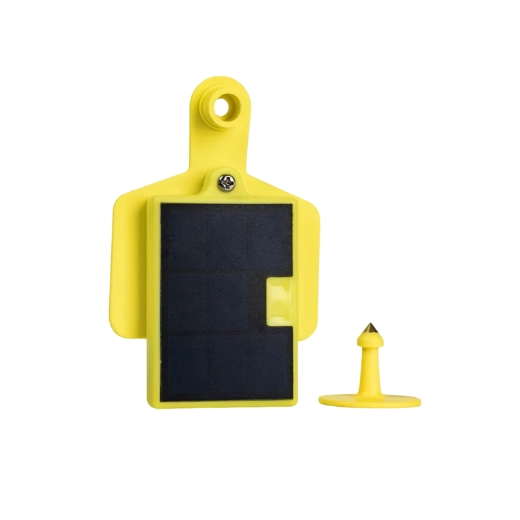 HCS048 de Safepoint